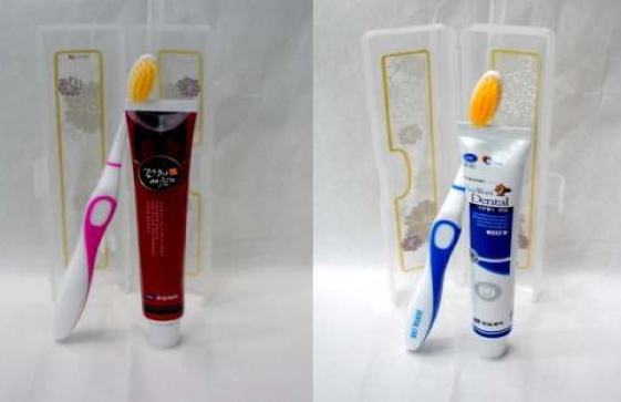 Travel Toothbrush Set